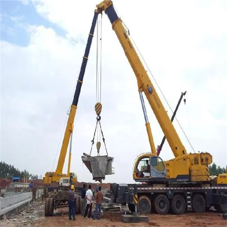 遂溪小型吊机出租电话|厂房设备吊装方案|24小时服务覆盖